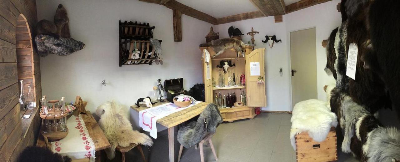 Apartment Aue,